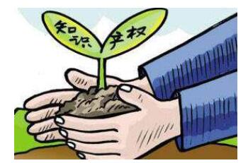 无锡知识产权保护的要点有哪些